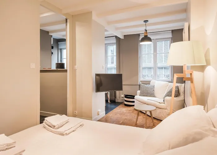 Smartstay Elegant - Perrache 公寓 *